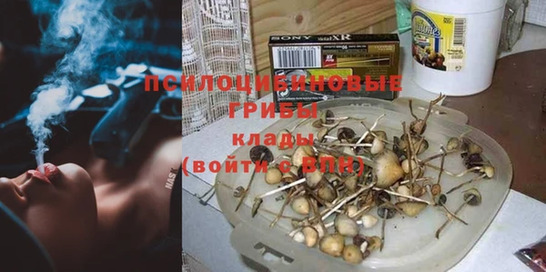 прущие крисы Богородицк