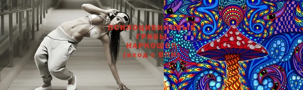 первитин Богданович