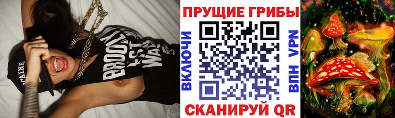 Галлюциногенные грибы Magic Shrooms  Купить где  Завитинск 