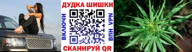 Купить закладки  Завитинск  Бошки Шишки конопля 
